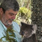  Bingo Koala, Gorge Wildlife Park South Australia.8